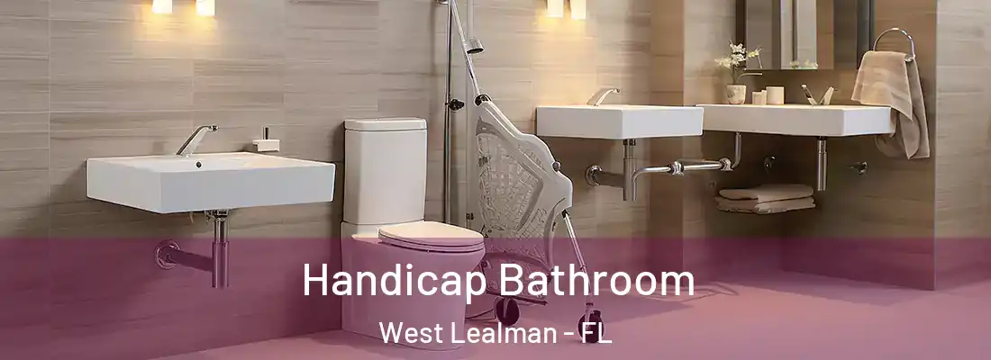  Handicap Bathroom West Lealman - FL